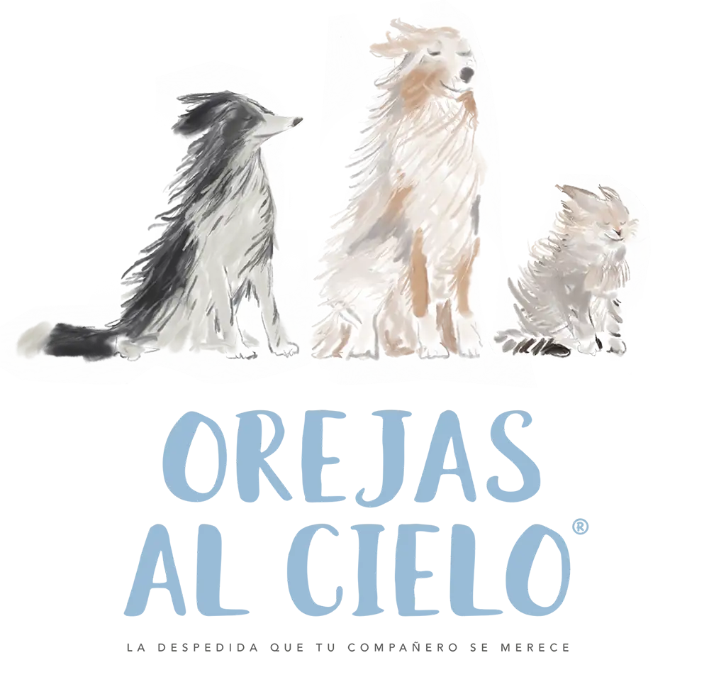 Orejas al Cielo